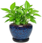 Ceramic Planter with Saucer for Indoor Outdoor Plants (Blue, 8.7 Inch) by Unknown