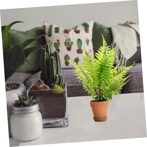 VICASKY Red Clay Succulent Planter Pots with Drainage Saucers, 8x8cm Terracotta Flower Containers for Indoor Outdoor Gardening, 5pcs Breathable Clay Nursery Pots Set - Image 6