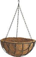 Rocky Mountain Goods Hanging Basket with Natural Coconut Liner - 14” - Extra Strength Chain and Hook Included - Thick Coco Liner Hanging Planter for Less Watering by Rocky+Mountain+Goods
