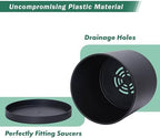 D'vine Dev 2-Pack Black Plastic Planters with Saucers, 6.5 in, 74-Y-L-1 - Image 4