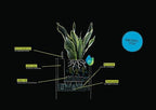 Lechuza Canto Stone Low 30 Graphite Black, Self-Watering Square Planter, H11.8 L11.8 W11.8 in - Image 5
