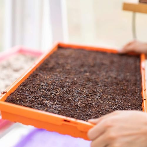 Bootstrap Farmer 1020 Extra Strength Trays, Orange, 10 Pack with Holes - Image 3