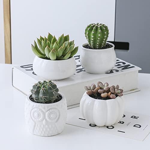 HASMI Plant pots 1 Set Ceramic Owl Garden Pots Pumpkin Flowerpot Nursery Succulent Plant Pot 3 Bonsai Planters with 3-Tier Shelf Flower Pots (Color : 1) - Image 7