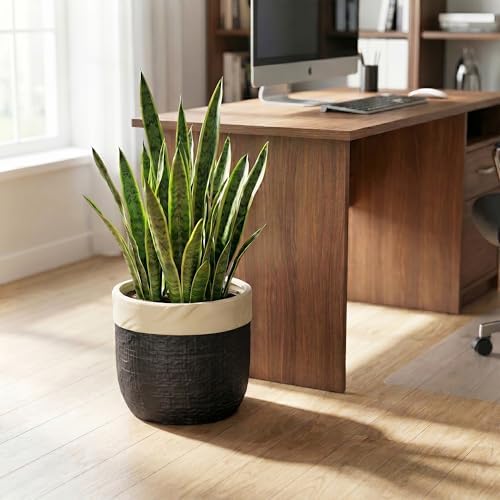 9.8 Inch Planter, Ceramic Pots for Plants, Round Flower Pots, Black - Image 3