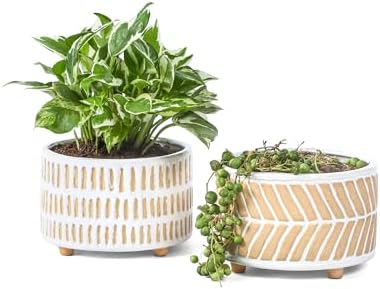 Fayoula Succulent Pots, 6 Inch Planters with Drainage Hole, Modern Indoor Plant Pots for Succulents, Herbs, Aloe, Snake Plant - Ceramic Home Décor, Set of 2 by FayoulasGarden