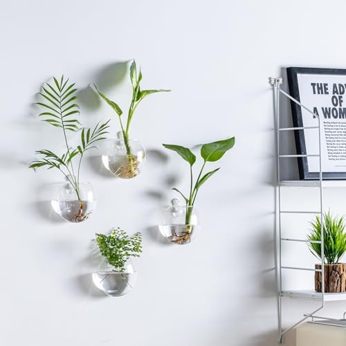 Wall Hanging Planter Propagation Station, Oblate Glass Flower Vase for Propagation, Wall Planter for Indoor Plants, Modern Home Office Corridor Bathroom Decor (6) - Image 4