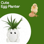 Chatelet Cute Egg Shell Planter | Unique Dinosaur Tabletop Indoor or Outdoor Planter Pot | Flowers, Succulents, or Vegetable Pot | Made in USA (Cute Egg, Large) - Image 2