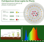 Outdoor Grow Lights for Plants, Full Spectrum Greenhouse Grow Light, Outdoor Waterproof Appearance Patent Design, 42FT Adjustable Cord for Vegetables, Seedlings, Flowers (12 Lights) - Image 2