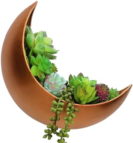 Wall Planter - Window Planter - Hanging Moon Planter - Boho Hanging Planters for Indoor Plants, Succulents, Air Plant, Cactus, Faux, Artificial Plants -Witchy Gifts for Women, Birthdays,Plant Lovers by Oakadoaks