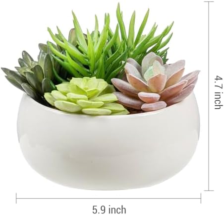 MyGift 6 Inch Round Modern Artificial Succulent Arrangement Potted in White Ceramic Plant Bowl, Assorted Faux Mini Succulents in a Decorative Planter Pot - Image 6