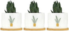 DreamAutumn Plants Ceramic Flower Pots Set of 3,Gardening Plant Pot with Drainage Holes and Saucers Round Ceramic Pots for Indoor Plants Succulent Herbs Cactus Pots - Image 6