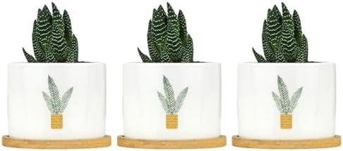 DreamAutumn Plants Ceramic Flower Pots Set of 3,Gardening Plant Pot with Drainage Holes and Saucers Round Ceramic Pots for Indoor Plants Succulent Herbs Cactus Pots - Image 6