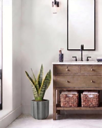 10 Inch Ceramic Plant Pot for Indoor Plants with Drainage Hole - Image 5