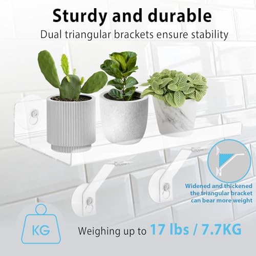 2 Pack 15 Inch Acrylic Window Boxes Plant Shelves, 6 Inch Extra-Wide Windowsill Extender – Features Suction Cups and Support Brackets for Succulents, Herbs, Seed Starting | Indoor/Outdoor Use - Image 3