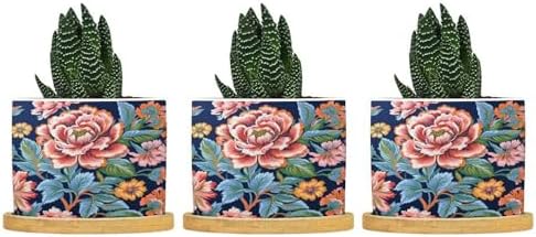Bright and Chinoiserie Ceramic Planter Coral Peony Floral Snake Plant Live Indoor with Pot with Drainage Holes and Saucers Pot for Succulents Cactus Garden Windowsill by BRUYU5SE