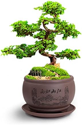 Dahlia 4.8" Beautiful Scenery Zisha Bonsai Planter/Succulent Pot/Flower Pot w. Saucer, Dark Brown - Image 3