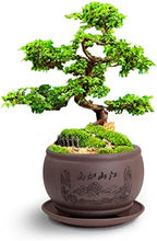 Dahlia 4.8" Beautiful Scenery Zisha Bonsai Planter/Succulent Pot/Flower Pot w. Saucer, Dark Brown - Image 3