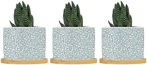 Leopard Light Dot Planters Ceramic African Tribal Animal Print Round Flower Pot with Drainage Holes and Bamboo Tray Pot for Home Office Desk Garden by BRUYU5SE