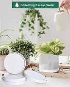 Large Ceramic Plant Saucer and Small Terracotta Pot Plant Saucer - 4 Pcs 7 Inch White Ceramic Plant Tray and 4 pcs 8 Inch Terracotta Plant Saucer for 4,6,7 Inch Plant Pots with Drainage Hole and Gre - Image 7