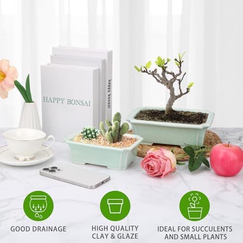 Set of 2 Zisha White Clay Bonsai Pot Glazed Shallow Succulent Planter Light Green - Image 6