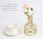 Glass Propagation Station with Metal Frame,Test Tube Vase for Hydroponic Plant, Metal Flower Vase Test Tube Pot Decorative Bottles Centerpieces for Wedding Home Décor (Gold Small 16CM) - Image 5