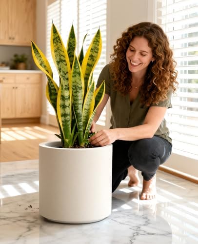 homenote 13.2 Inch Large Plant Pot with Drainage Plug for Indoor Use - Image 5