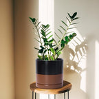 D'vine Dev 6 Inch & 8 Inch & 10 Inch, Set of 3 Round Ceramic Planter Pot with Drainage Hole and Saucer, Black/Speckled Tan, 94-T-L-7 - Image 3