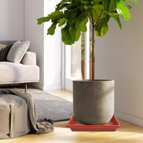 Square Plant Saucer 14 Inch 2 Pack, 6 8 10 12 13 16 18 20 Durable Plastic Plant Trays for Pots-Indoor Outdoor, Durable and Thicker Large Plant Drip Trays, Flower Planter Saucers for Potted Plants - Image 6