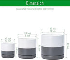 D'vine Dev 3-Pack Ceramic Pots with Saucers, 4/6/8 in, White/Grey, 94-T-M-6 - Image 2
