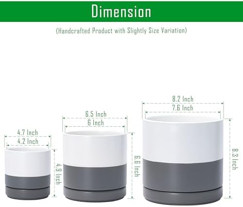 D'vine Dev 3-Pack Ceramic Pots with Saucers, 4/6/8 in, White/Grey, 94-T-M-6 - Image 2