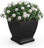 Mayne Acadia 20in Self-Watering Tall Square Planter, Black by Mayne