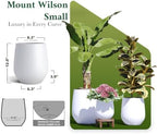 DTY Premium Mt Wilson Tall Tapered Fiberstone Planter for Indoor Outdoor Use, Modern Large Olive Tree Pot with Drainage Hole, Includes 2 Coco Mats. White, Small 11'' D x 12'' H. 8.3” Pot Opening - Image 3