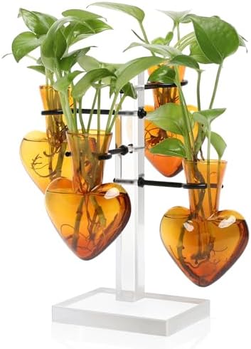 Plants Propagation Stations Plant Terrarium Kit Gift for Women by YYHglass