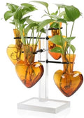 Plants Propagation Stations Plant Terrarium Kit Gift for Women by YYHglass