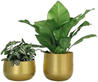 Vixdonos Gold Metal Flower Pots Brass-Toned Garden Planters, 7.1/6.3 Inch Indoor Round Succulent Containers, Pack 2 Cactus Plant Pots with Drainage Hole by Vixdonos