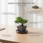 Square Ceramic Bonsai Pot Tray - Brown Glazed Saucer for Water Retention & Desk Protection, Solid Clay Base for Indoor Plant Displays - Image 5