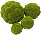 Artificial Moss Ball, 6.7 Inch Green Hanging Decorative Sphere for Living Room & Event Styling (1 PC) by Unknown