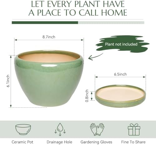 Ceramic Planter with Saucer for Indoor Plants (Light Green, 8.7 Inch) - Image 4