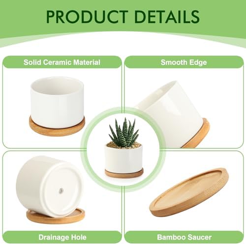 ZOUTOG 12 Pack 3.1" Ceramic Succulent Pots,White Planter with Drainage Tray - Image 5