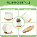 ZOUTOG 12 Pack 3.1" Ceramic Succulent Pots,White Planter with Drainage Tray - Image 5