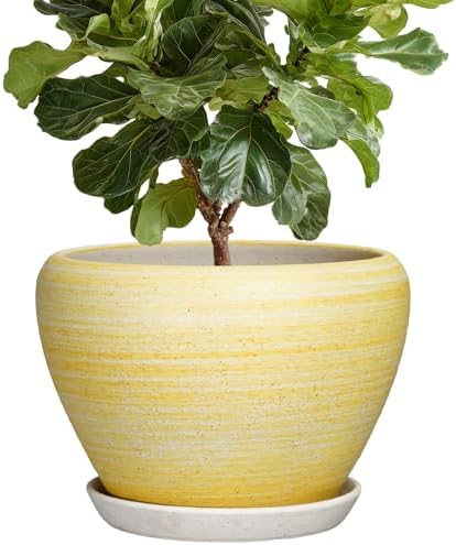 Ceramic Planter 10 Inch, Ceramic Pots for Plants, Textured Yellow by Thirtypot