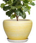 Ceramic Planter 10 Inch, Ceramic Pots for Plants, Textured Yellow by Thirtypot