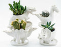 Ceramic Succulent Plant Pot Cactus Plant Pot Flower Pot Container Planter with Drainage Hole Home Office Desk Garden Gift Idea Animal Shaped Flower Pot Cute Vase Pot (4pcs Dinosaur) by zmgmsmhendlessefforts
