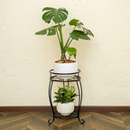 FaithLand 2 Tier Black Metal Plant Stand Indoor Outdoor, 19.4", 2 Pack - Image 3