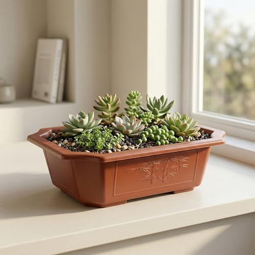 HOIGON 30 PCS 9 x 6.5 Inch Plastic Rectangular Bonsai Training Pots, Red Plastic Planter Pot with Drainage Hole, Shallow Plant Nursery Pot for Succulent - Image 5