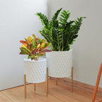 ARNIS Plants Pots with Stand, Set of 2 P lanters, Unique Mid Century Decorative Metal Flower Pots with Drainage, 8.25 & 10.5 Inch, White and Gold - Image 2
