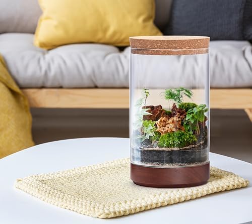 Clear Glass Houseplant Terrarium Planter, 6" W x 10" H, Cylindrical Terrarium with Wooden Base & Cork Lid | Versatile Tabletop Decoration for Home or Office or Hydroponics (Plant Not Included), 41-A-M - Image 4