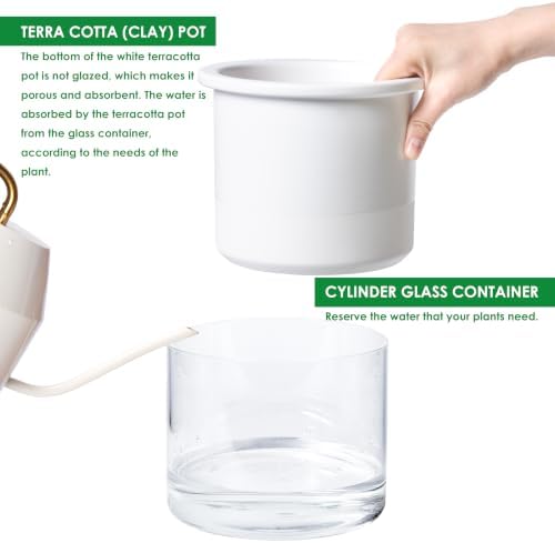 Phoenix Vine 6 Inch 4 Inch Self Watering Planter Pots, Design White Terracotta Pots for Plants, Indoor Cylinder Terra Cotta Pots with Glass Vase Set, 51-B-G-46 - Image 6