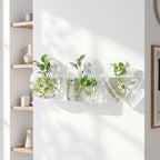 LemonRoad 6 Pcs Wall Hanging Glass Planters, Propagation Station Vases - Image 6