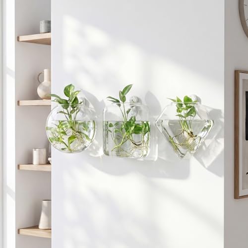 LemonRoad 6 Pcs Wall Hanging Glass Planters, Propagation Station Vases - Image 6